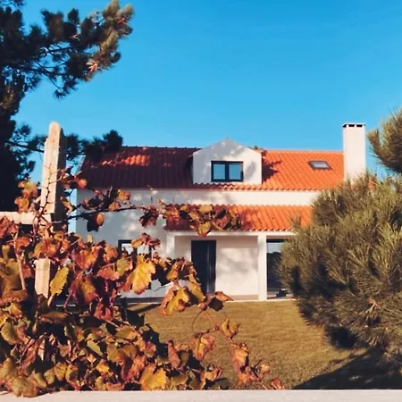 Bed & Breakfast 45 Pines West Acafora