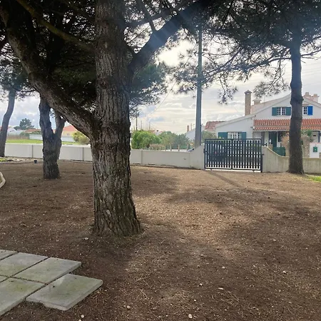 Bed & Breakfast 45 Pines West *